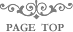 PAGE TOP